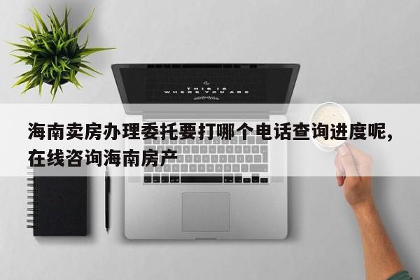 海南卖房办理委托要打哪个电话查询进度呢,在线咨询海南房产