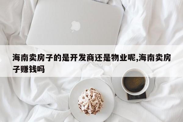 海南卖房子的是开发商还是物业呢,海南卖房子赚钱吗