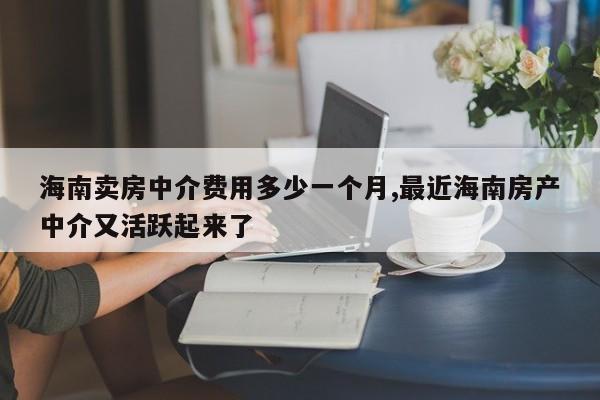 海南卖房中介费用多少一个月,最近海南房产中介又活跃起来了